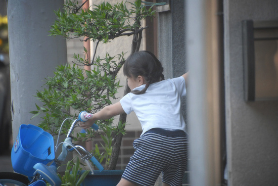 DSC_230801.jpg